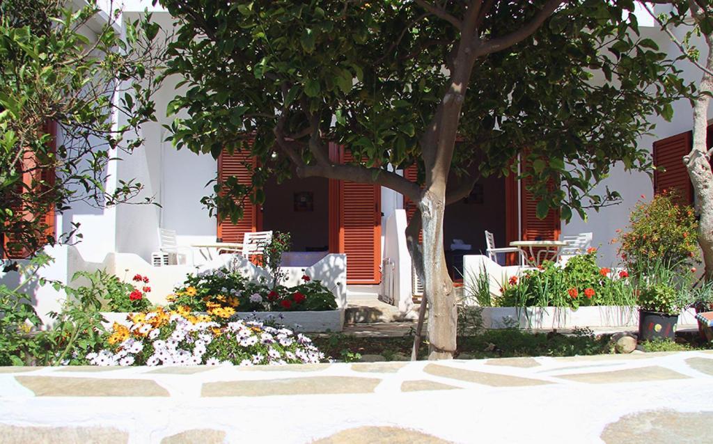 Helios Serifos Livadi  Exterior foto
